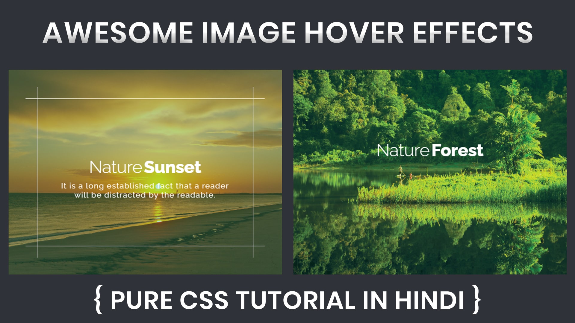 Awesome Image Hover Effects Using HTML CSS Code4Education